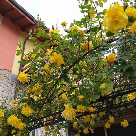 Lakes & Hills Villa Nebbiuno Dış mekan fotoğraf